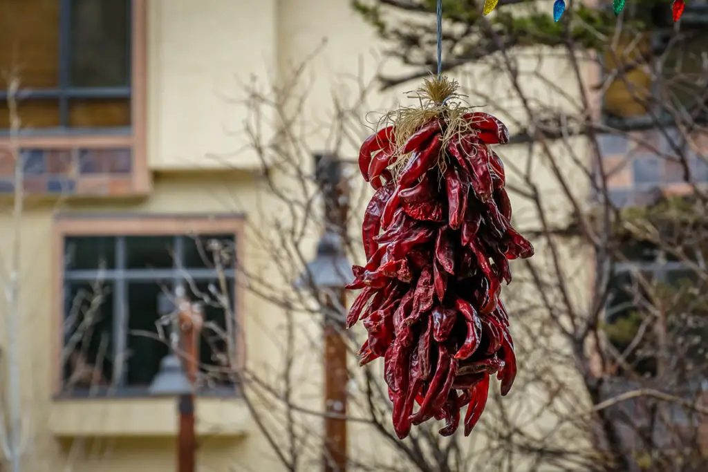 A cluster of red chili peppers hanging to dry outside a building, reflecting the culinary and cultural significance of chilies in New Mexico.