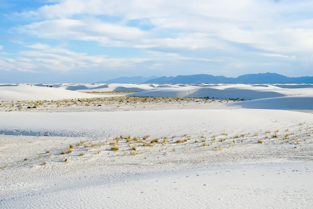 A vast expanse of white sand dunes under a bright blue sky, with sparse vegetation and distant mountains in White Sands National Park, New Mexico.