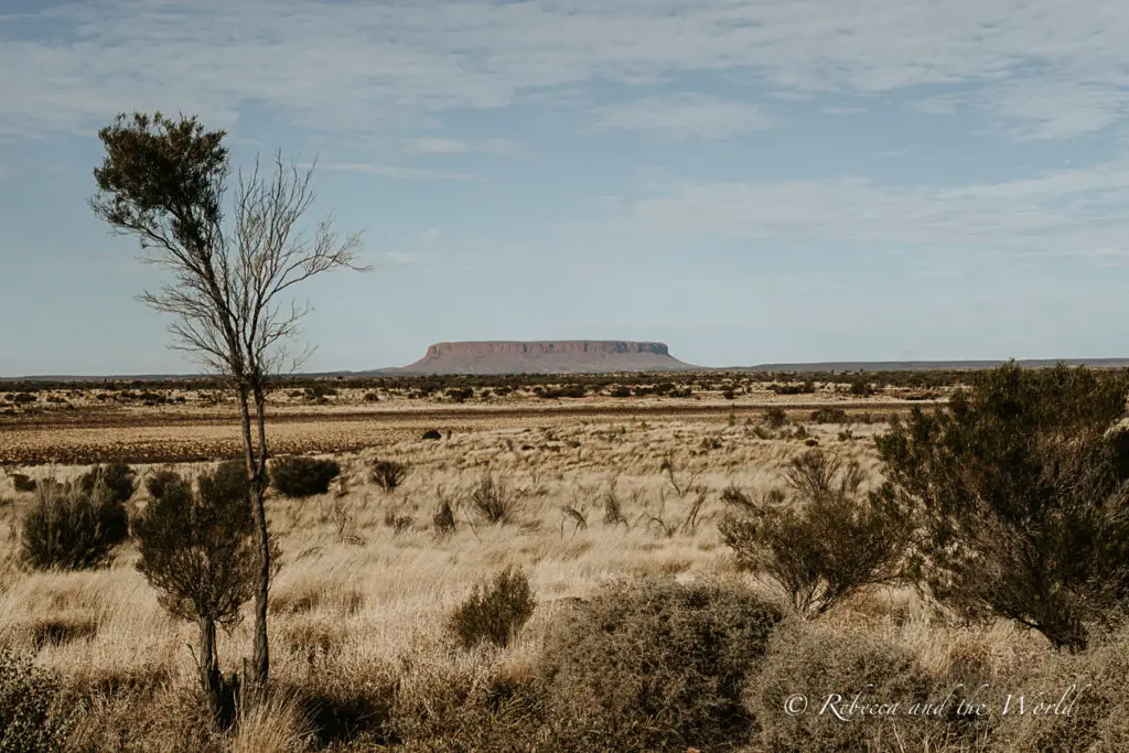 A distant view of a large flat-topped mesa rising above the flat Outback landscape, under a sky with scattered clouds. Mt Conner in the Northern Territory is also called Fooluru because many people mistake it for Uluru.