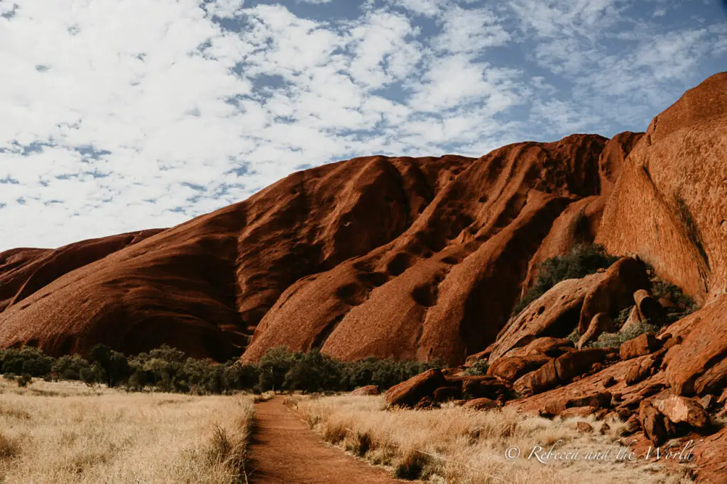 A close-up of Uluru's surface showing its unique texture and red color, with shrubs in the foreground and a walking path leading towards the rock formation. Spectacular views on the Uluru base walk - one of the best things to do at Uluru.