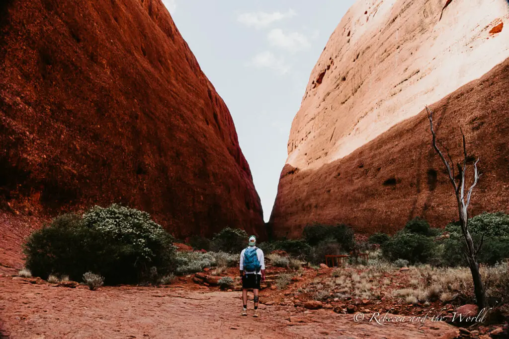 A person standing in front of a massive red sandstone rock formation - Walpa Gorge in the Northern Territory - which fills the background. The person is wearing a blue shirt, black shorts, and a hat. The ground is red with scattered greenery.