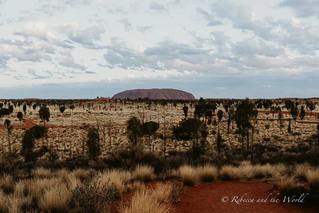 A landscape view showcasing Uluru (Ayers Rock) in the distance under a vast sky with scattered clouds. The foreground is filled with sparsely distributed desert vegetation and the distinctive red soil of the Australian Outback. Uluru is one of the highlights of a Red Centre Way road trip.