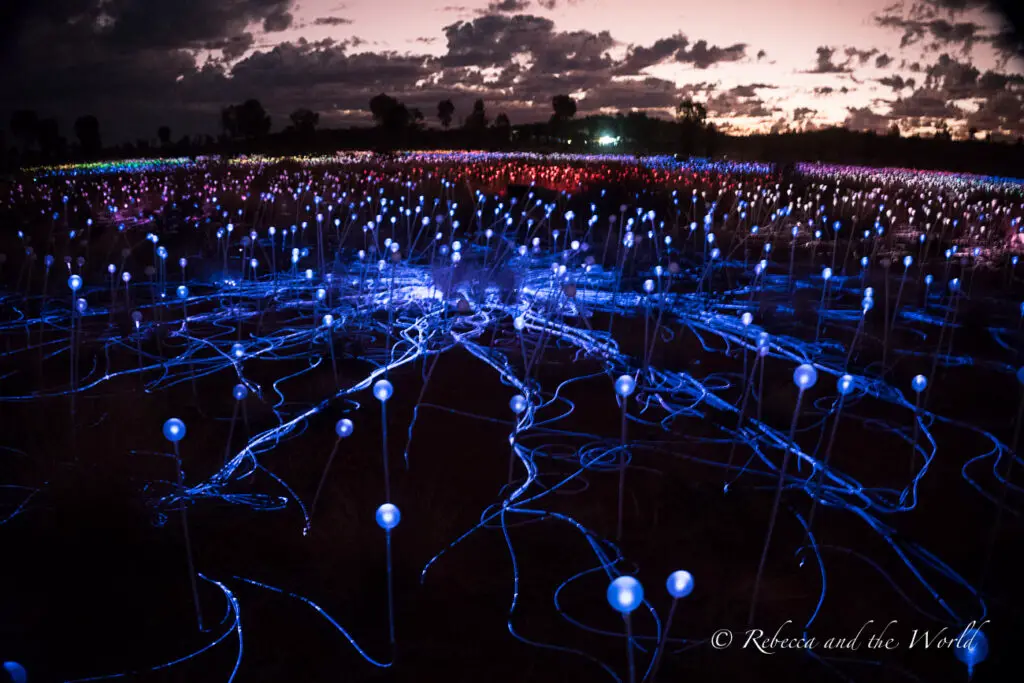 A night-time view of an art installation in the desert featuring a field of illuminated stems with bulbs that transition in color from violet to blue, creating a mesmerising landscape under the night sky. This is the Field of Lights at Uluru.