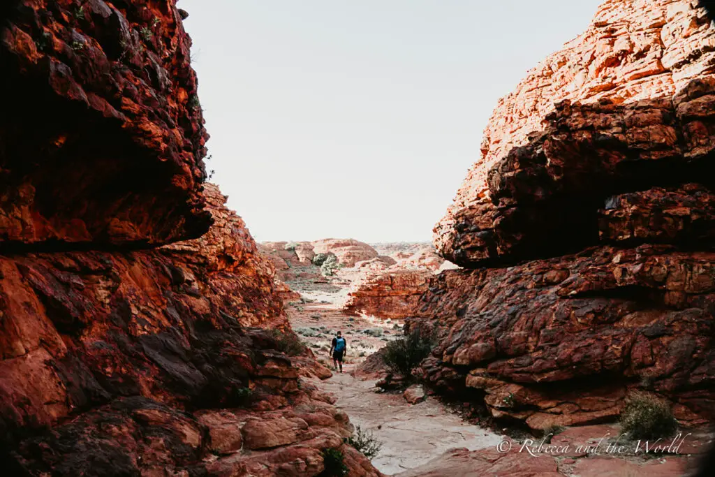 A man - the author's husband - in a narrow desert canyon with red rock walls. The Kings Canyon Rim Walk is one of my favourite hikes in Central Australia.