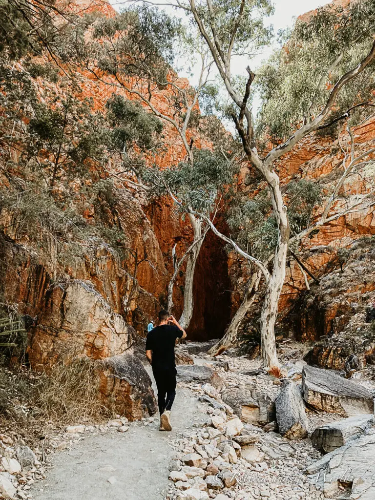 A hiker walking through a narrow, rocky gorge lined with shrubs and trees, with sunlight filtering through the opening above. This is Standley Chasm just outside of Alice Springs.