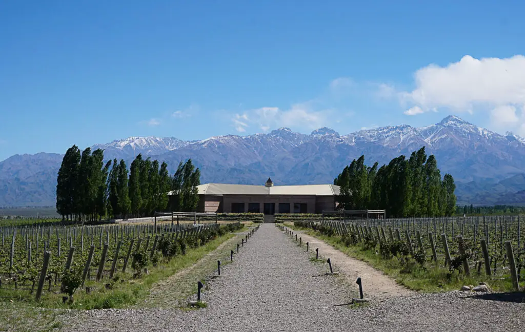 A neat vineyard with rows of grapevines leading to a large building with a red roof, set against a backdrop of towering mountains with snow-capped peaks and a clear blue sky. Mendoza is one of the best places to visit in Argentina for wine lovers and people who want to try adventure activities in Argentina.