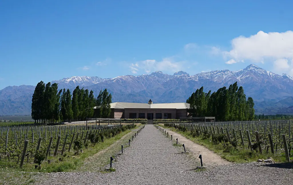 Mendoza is one of the best places to visit in Argentina for wine lovers and people who want to try adventure activities in Argentina
