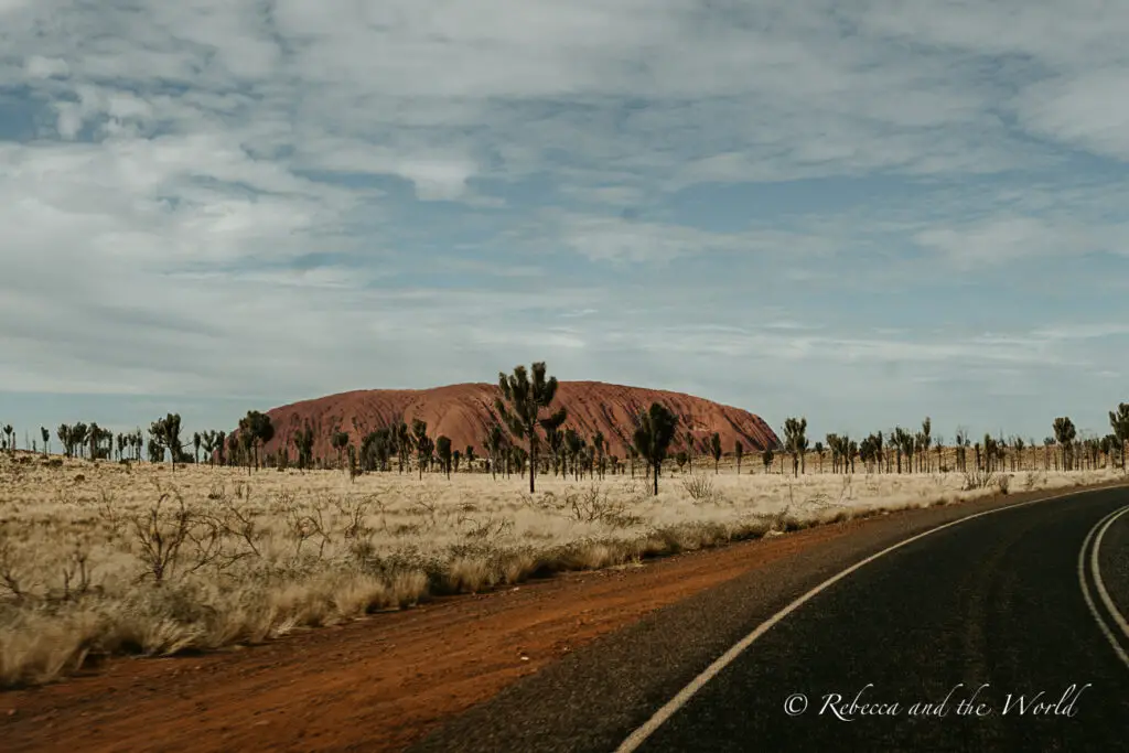 The road curves towards the iconic Uluru, which rises prominently in the distance amidst a flat, arid landscape dotted with sparse vegetation and a few trees under a cloudy sky.