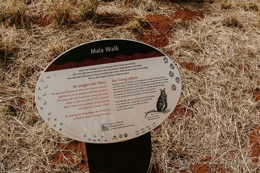 The guided Mala walk is a great way to learn about local Anangu culture at Uluru