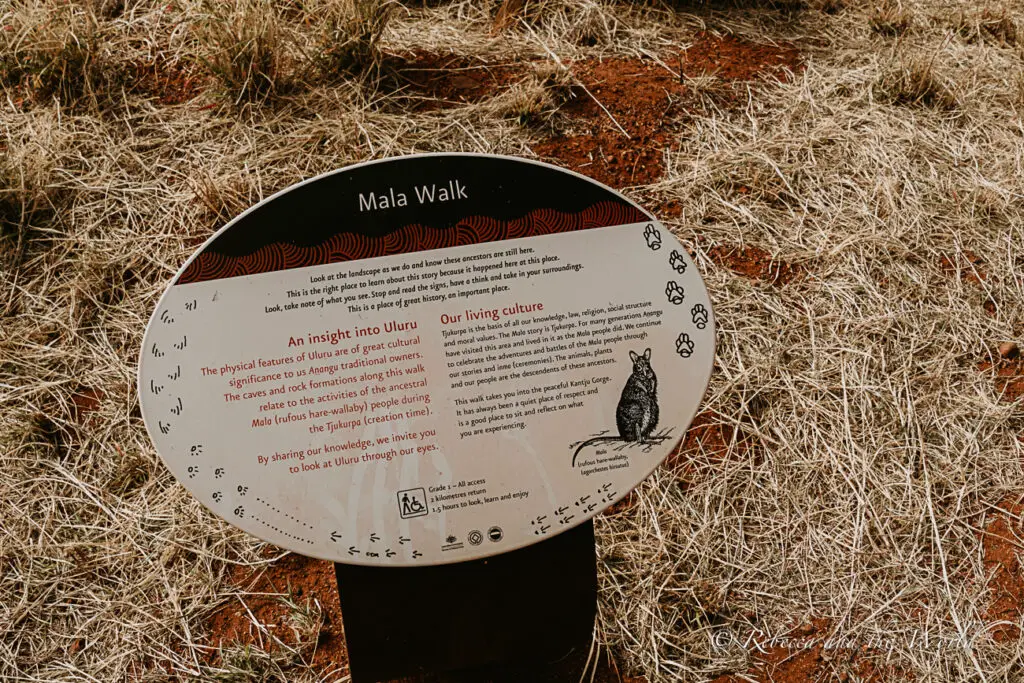 An informational sign titled "Mala Walk" offers cultural insights into Uluru, set against the dry grasses of the surrounding area. The guided Mala walk is a great way to learn about local Anangu culture at Uluru.