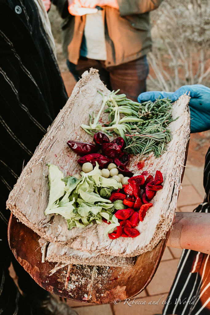 A person holds a large piece of bark serving as a platter with an assortment of native Australian bush foods. The selection includes green beans, vibrant red berries, olives, and leafy greens. The holder wears blue gloves, and there are blurred figures in the background. One of the best things to do at Uluru is splash cash on one of the stunning dinners under the stars, such as Tali Wiru.