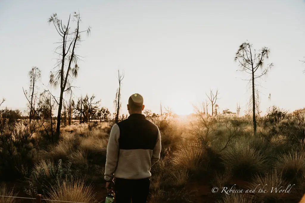 A man - the author's husband - in a fleece jacket stands facing the horizon where the sun sets behind thin, silhouetted trees in the Uluru region.