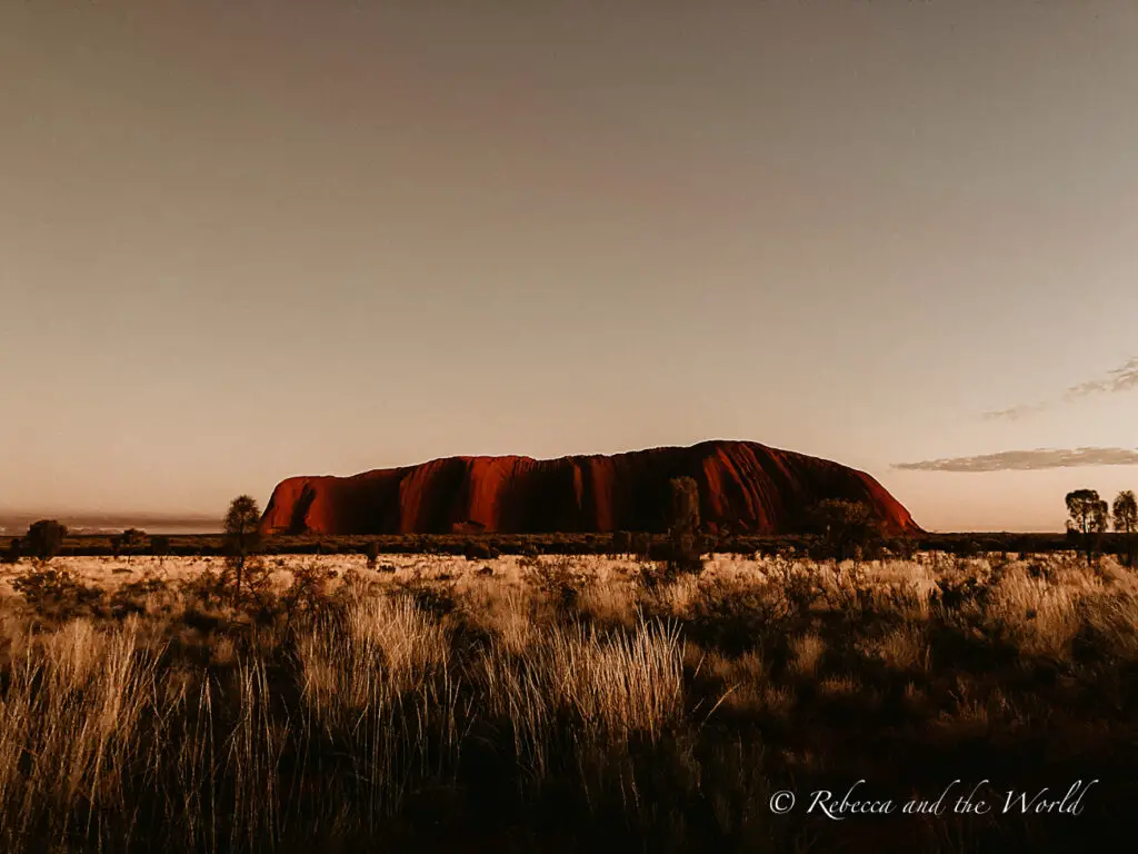 Uluru stands grand in the centre of the frame, its rich red color contrasting with the golden tones of the surrounding grassland and the soft hues of the sky at twilight. One of the best ways to see Uluru is at sunrise and sunset.