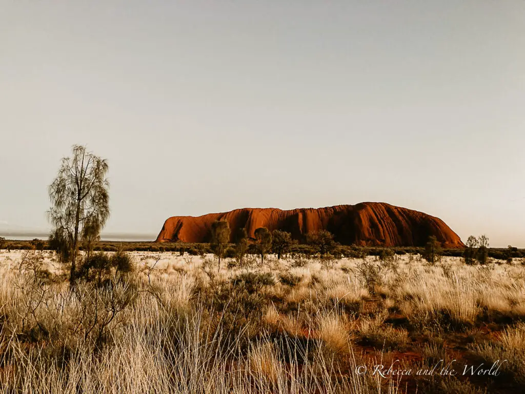 A vast, arid landscape with sparse vegetation in the foreground and the iconic Uluru, also known as Ayers Rock, in the distance. The large sandstone formation stands prominently under a clear sky with a slight gradient from blue to pale orange.