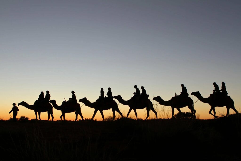 Silhouettes of a camel train against the backdrop of a dusk sky, creating a serene desert scene at Uluru.