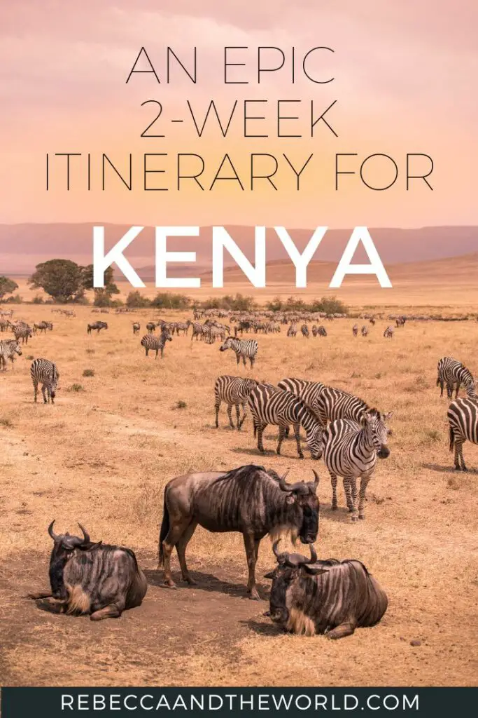 Looking for a Kenya itinerary that covers the best of the country? A local shares his incredible 2 weeks in Kenya travel itinerary so you can plan your own visit to this amazing part of East Africa. #Kenya #KenyaItinerary #EastAfrica