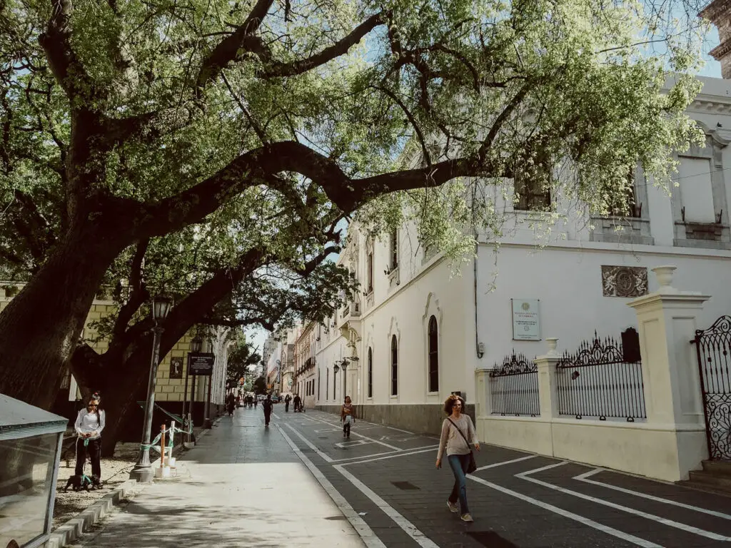 Asking the question Is Cordoba safe and is Argentina safe to visit, a street scene of Cordoba, a pretty city in Argentina, shows people walking down a pedestrian-only street, shaded by large green trees. There are grand white buildings on the right hand side