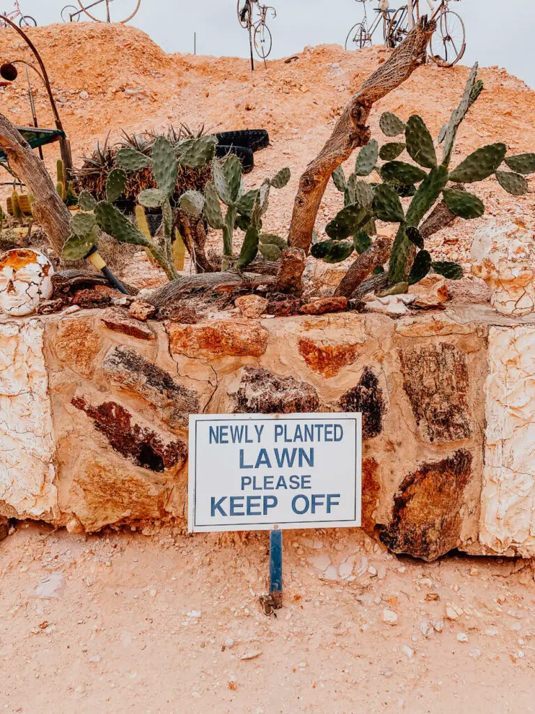 A sign says "Newly planted lawn please keep off" is posted in front of a dusty area with cacti and no grass. Crocodile Harry's is one of the most interesting places to see in Coober Pedy