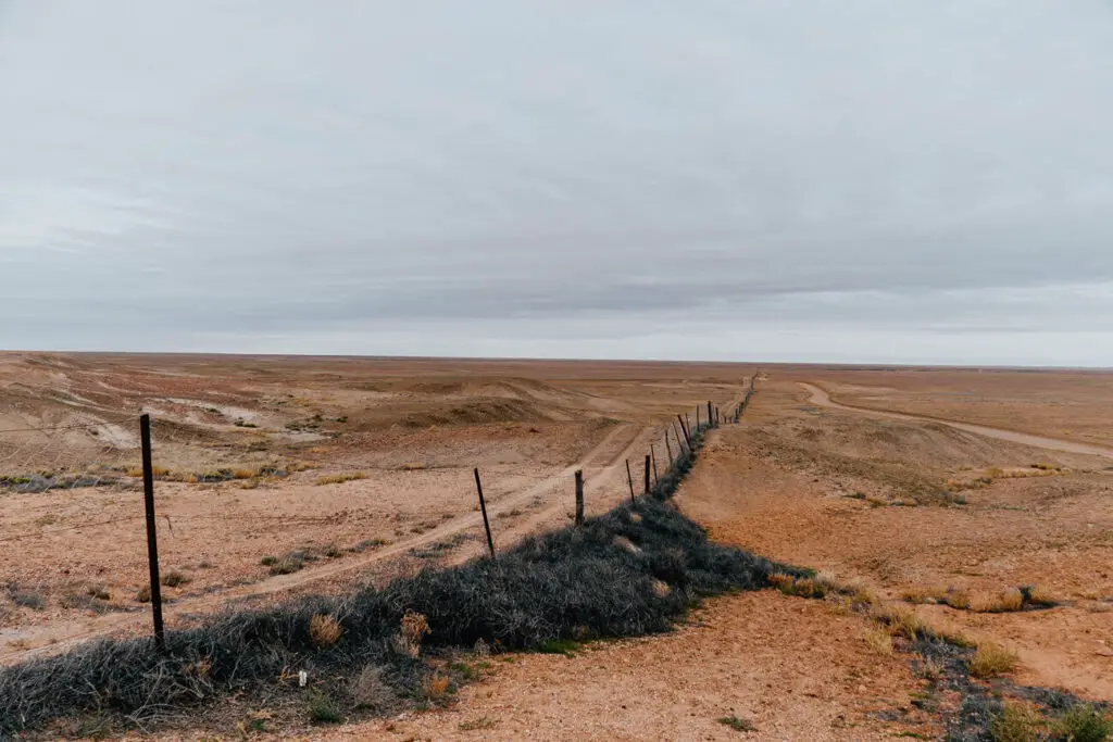 A wood and wire fence stretches down a barren landscape. The fence is the dog or dingo fence in Coober Pedy, an interesting attraction in Coober Pedy