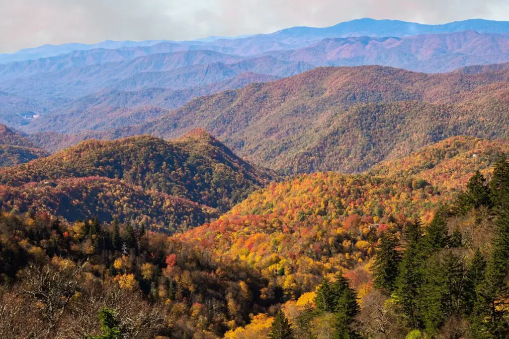 Leaf-peeping is one of the USA bucket list activities