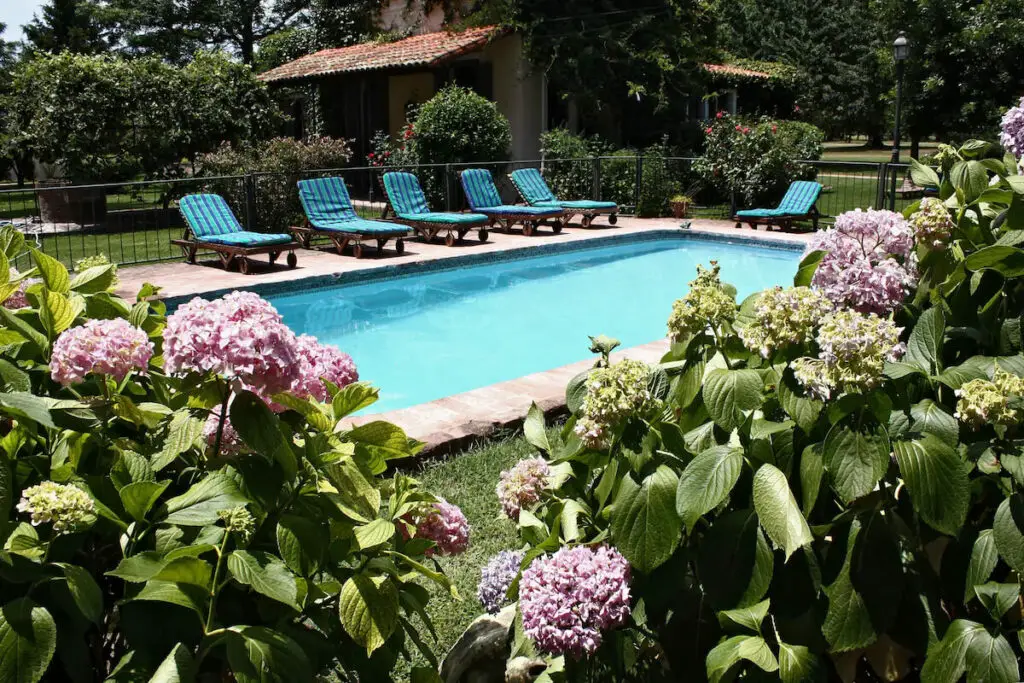 A serene poolside area with loungers, surrounded by vibrant green plants and flowers, on a sunny day. The pool is at Estancia El Ombu near Buenos Aires.