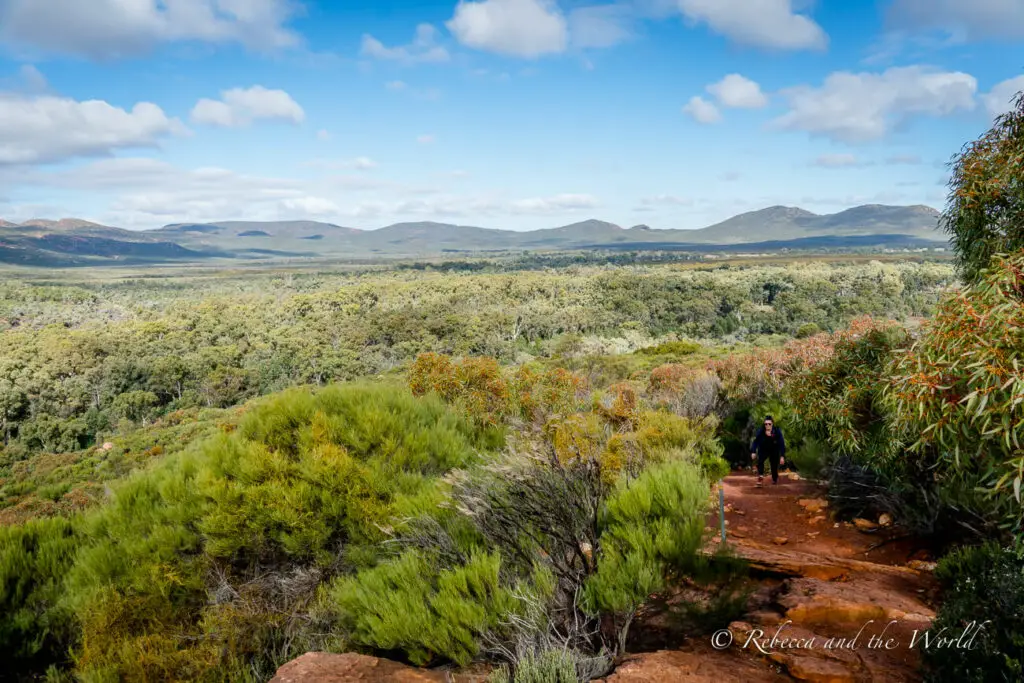 A viewpoint overlooking a valley with dense bushland. The foreground has red soil and green vegetation, and a person is seen walking on a trail. This is the trail to the Wangara Lookouts.