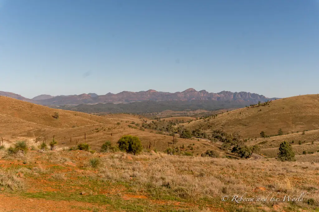 A vast, open landscape with gentle hills and sparse vegetation under a clear blue sky. The hills have a reddish hue with some greenery. This is the view from Hucks Lookout in Ikara-Flinders Ranges National Park.
