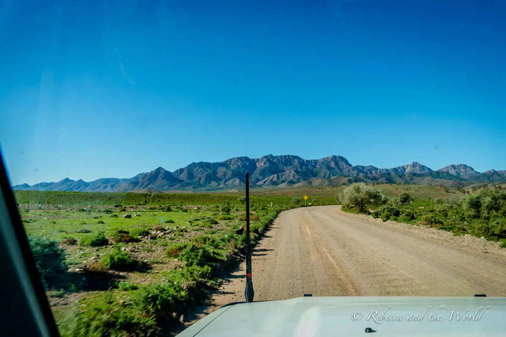 A view from inside a vehicle showing a dirt road leading towards distant mountains under a clear blue sky, with scrubby vegetation on either side. This is the start of the Moralana Scenic Drive at Flinders Ranges National Park.