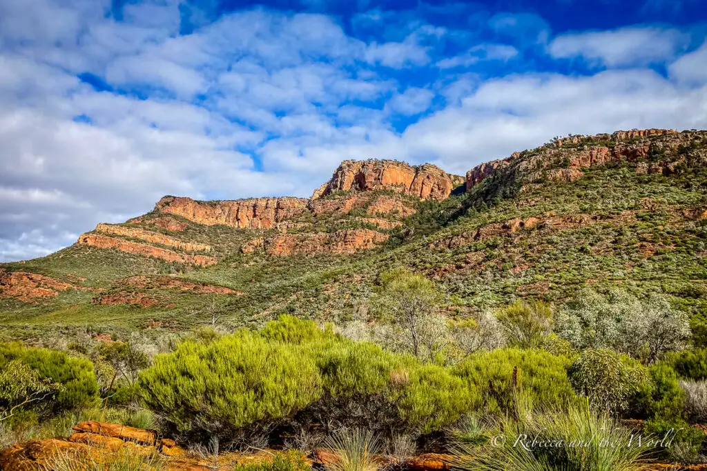 A panoramic view of Wilpena Pound in the Flinders Ranges with layers of red rock. The foreground features a diverse array of greenery, from low bushes to taller trees under a partly cloudy sky.