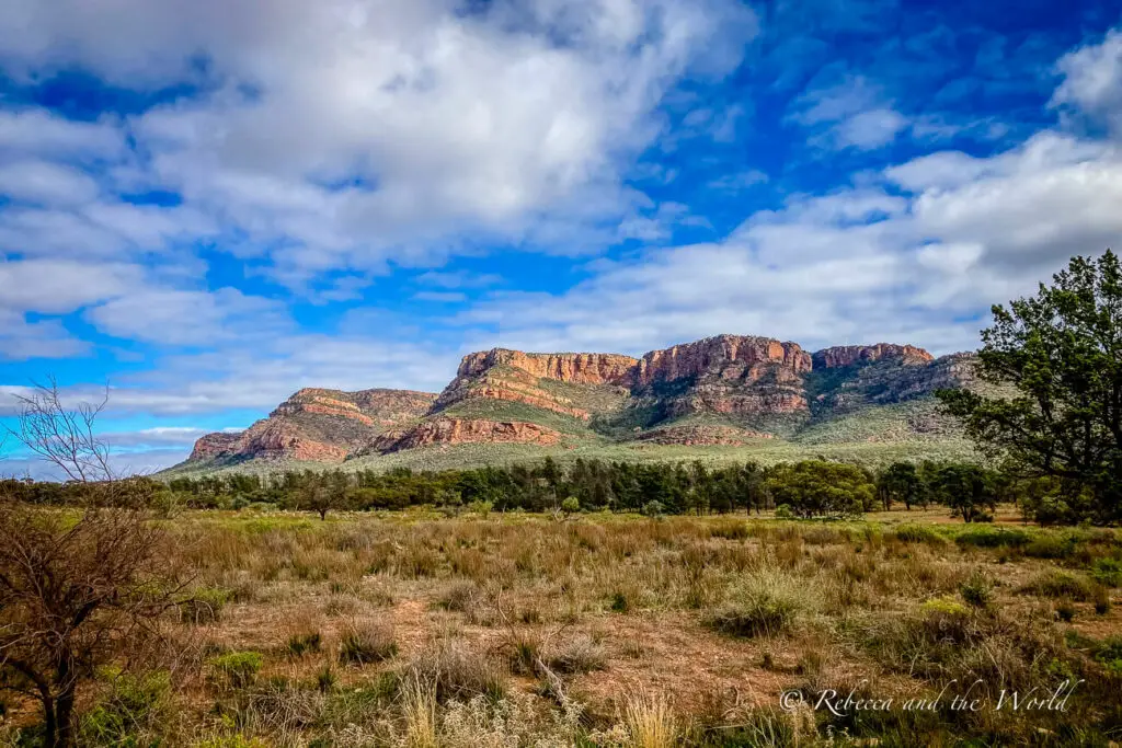 A panoramic view of Wilpena Pound in the Flinders Ranges with layers of red rock. The foreground features a diverse array of greenery, from low bushes to taller trees under a partly cloudy sky.