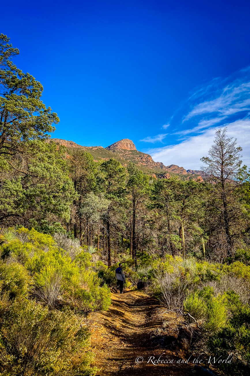 Things to do in Ikara-Flinders Ranges National Park + Itinerary Ideas