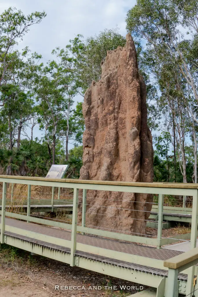 A large, upright termite mound in Litchfield National Park beside a metal walkway with a descriptive sign, surrounded by sparse vegetation and trees.