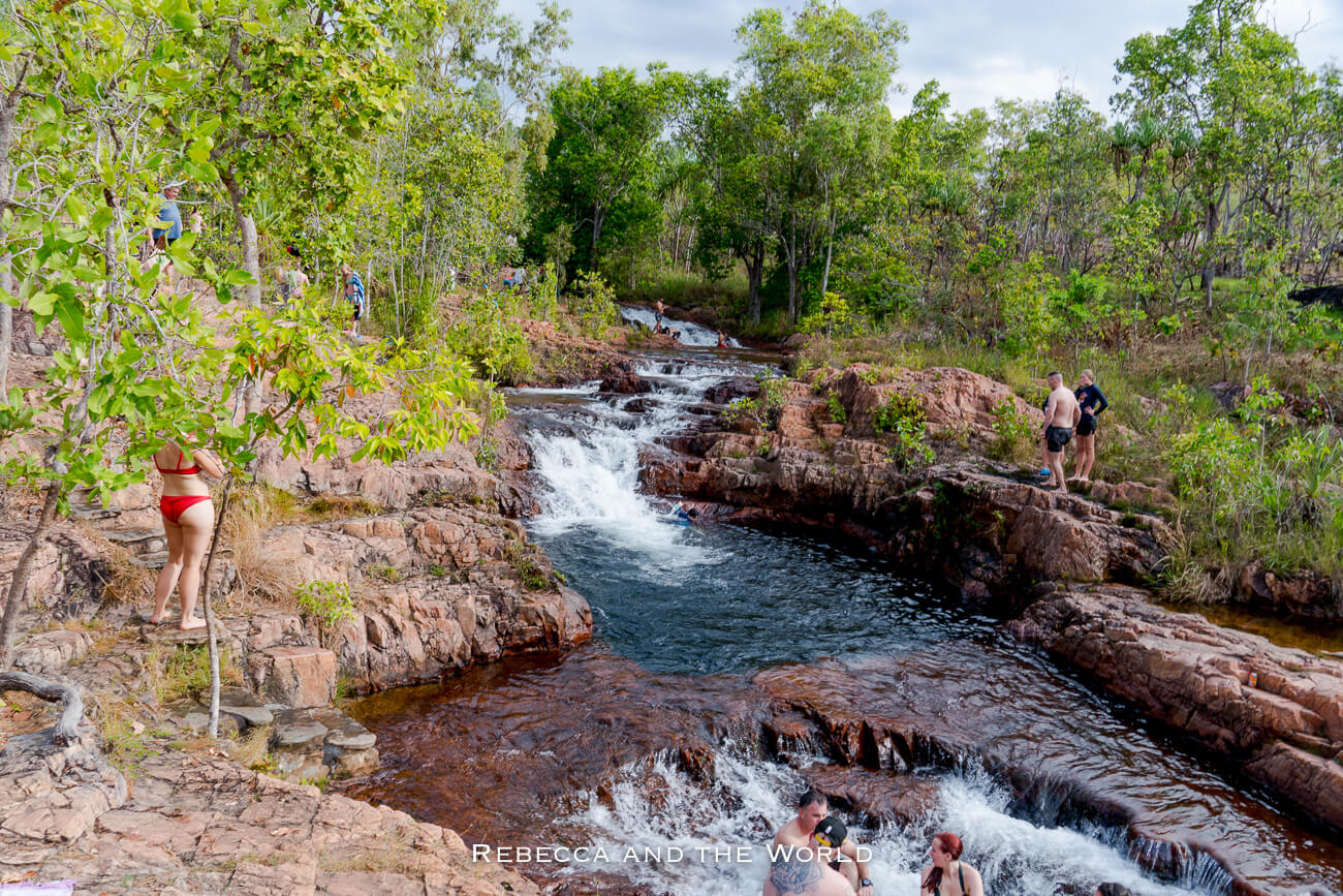 Visit Litchfield National Park: Everything You Need to Know