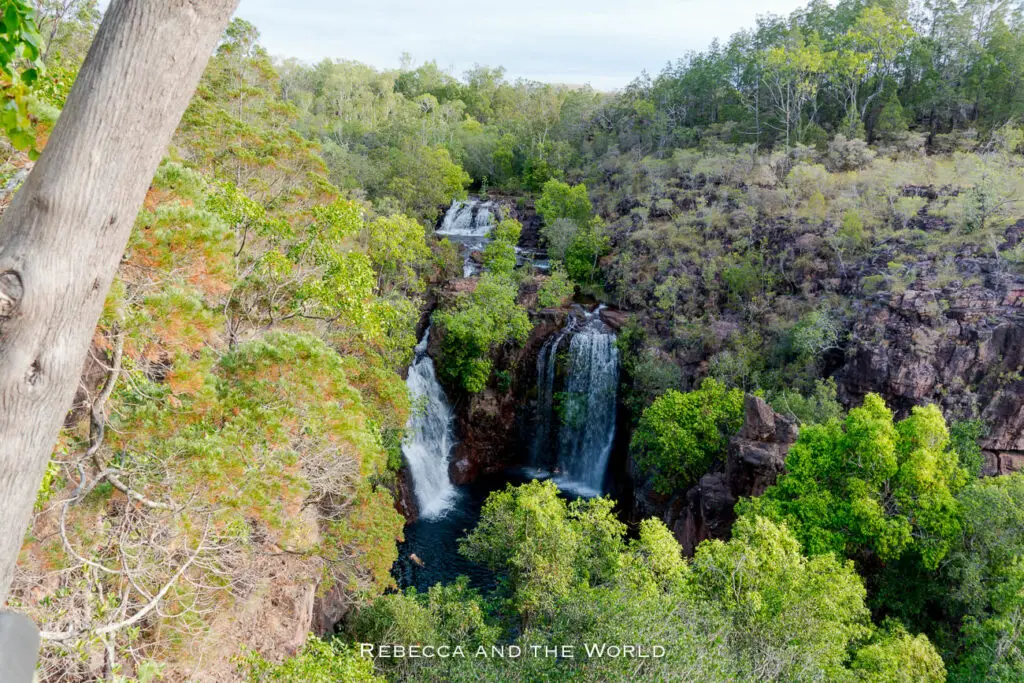 A view from above of a waterfall with twin streams dropping into a pool surrounded by rugged cliffs and dense greenery. This is the view of Florence Falls, in Litchfield National Park, from above.