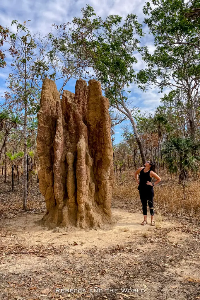 A woman - the author of this article - stands next to a tall, narrow termite mound in Litchfield National Park made of reddish soil, with sparse trees and dry grass in the background under a cloudy sky.