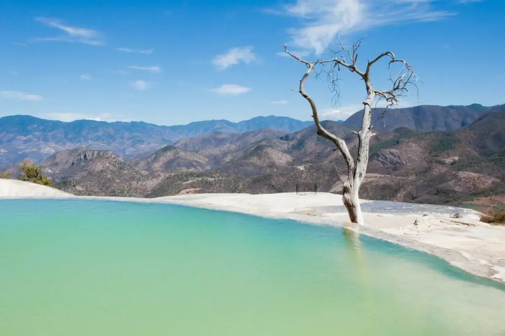 A tranquil natural pool with milky turquoise water, set against a backdrop of mountains and a clear sky. A leafless tree stands starkly in the water, creating a serene and picturesque landscape. This is Hierve el Agua in Oaxaca.