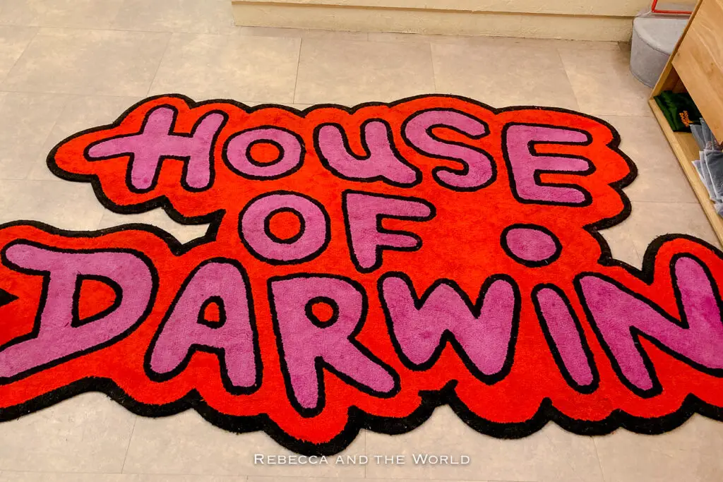 A vibrant, colourful carpet with the words "House of Darwin" in a bold, stylised font. The carpet lies on a plain floor, and the colours include shades of orange, pink, and purple on a red background.