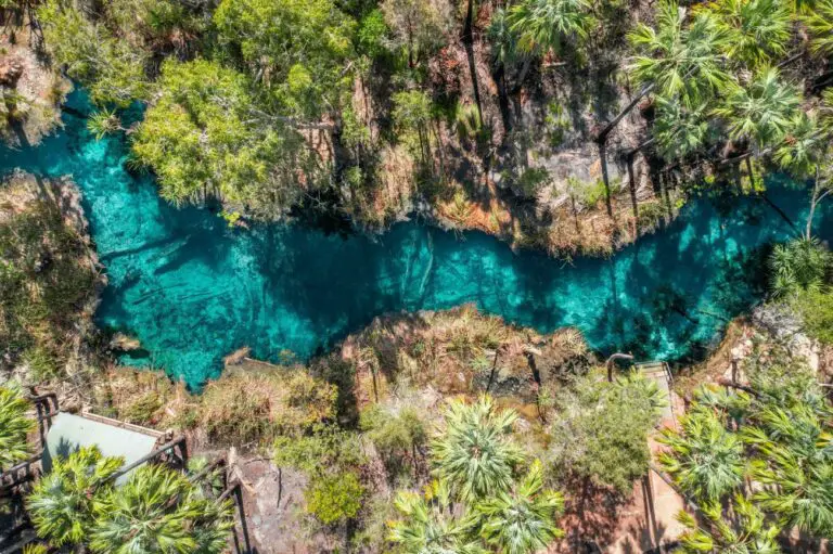 An aerial view of a natural pool - Bitter Springs in Mataranka, Northern Territory - surrounded by lush vegetation. The water is a striking shade of turquoise, indicating clarity and possibly depth. Various shades of green plants outline the irregular shape of the pool, and a well-trodden path with stairs can be seen on the left side, suggesting a point of human access. Visiting Bitter Springs is one of the best things to do in Katherine.