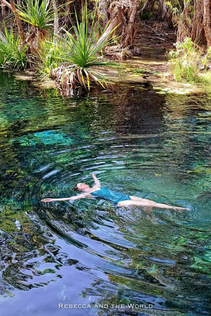 A person is swimming in a clear natural pool - Bitter Springs in the Northern Territory - with visible underwater vegetation. The surrounding area is dense with tall grasses and palm trees, creating a peaceful and secluded swimming spot.