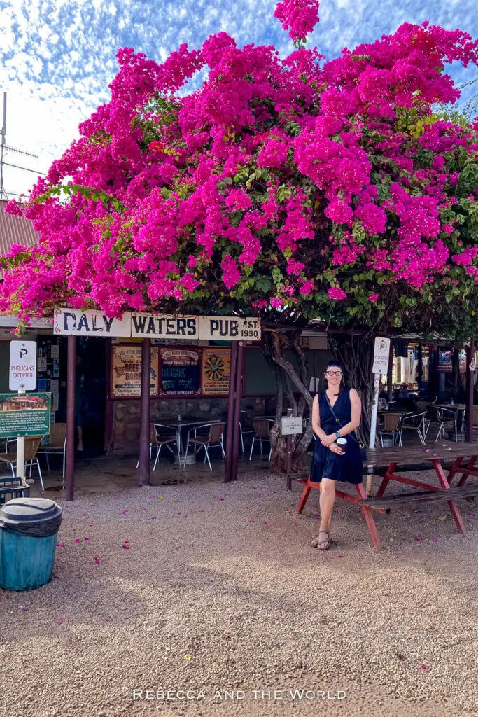 A woman - the author of this article - standing in front of the Daly Waters Pub shaded by a large bougainvillea tree in full pink bloom, under a partly cloudy sky. This is the famous Daly Waters Pub, a must-visit along the Stuart Highway on am Adelaide to Darwin road trip.