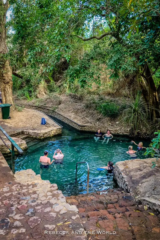 A natural swimming hole surrounded by dense greenery and trees. A concrete ledge with a metal ladder is on one side, and people are leisurely swimming and floating in the water. The area conveys a secluded and tranquil atmosphere. This is Katherine's famous Katherine Hot Springs, one of the best things to do on a Northern Territory road trip.