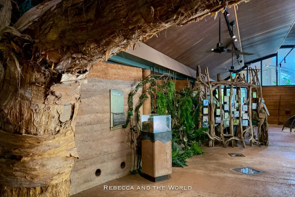 An interior view of a cultural exhibit featuring indigenous art and artefacts, with a thatched roof and informative displays. The Bowali Visitor Centre at Kakadu National Park should be your first stop when you arrive.