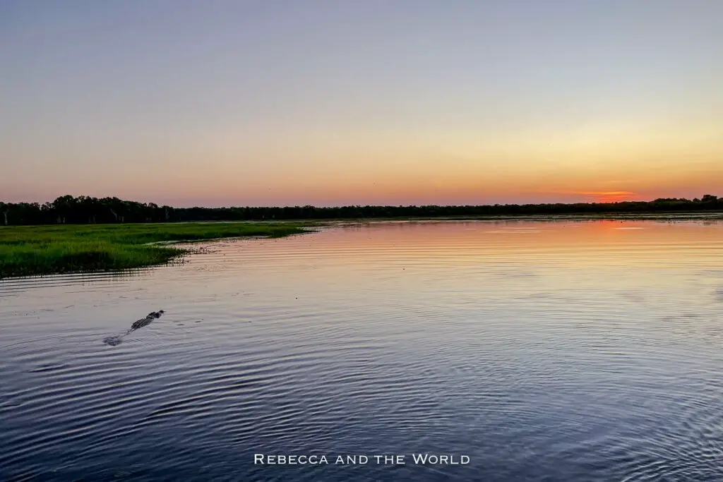 A serene sunset over a still water body in Kakadu National Park, with the sky painted in hues of orange and pink, and the silhouette of a crocodile swimming in the foreground.