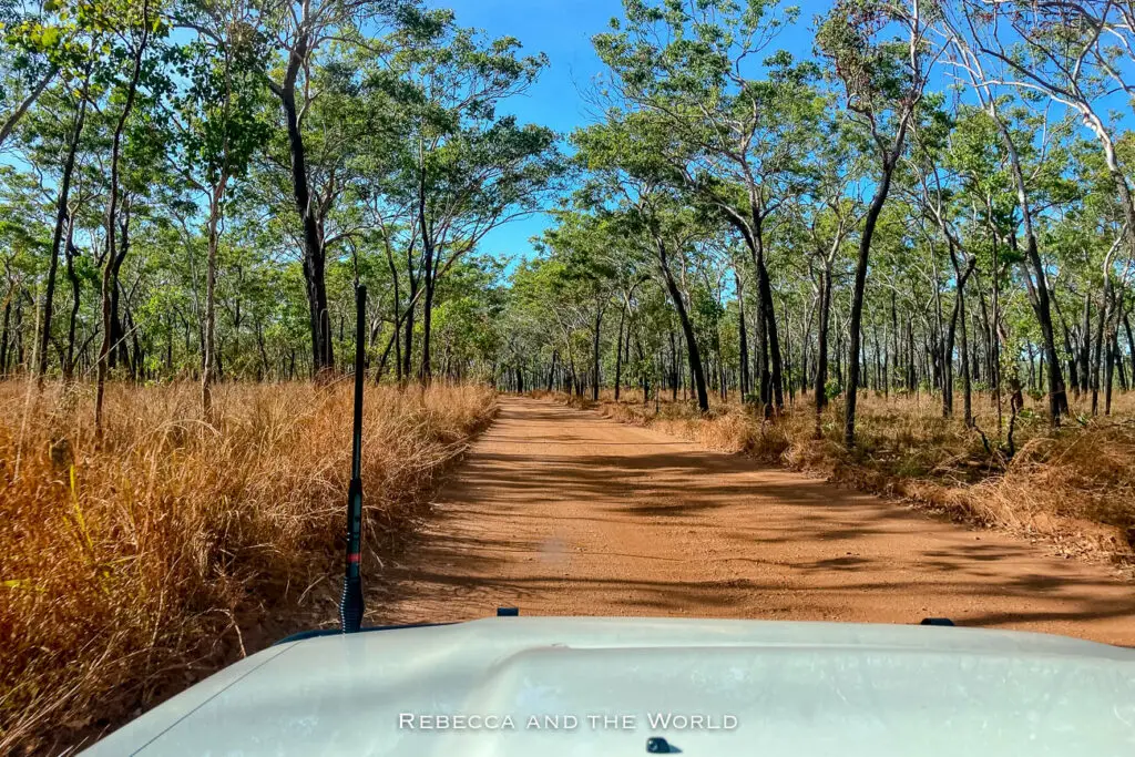A dusty, unsealed road lined with tall grass and woodland in Kakadu National Park, seen from the perspective of a vehicle's front hood.