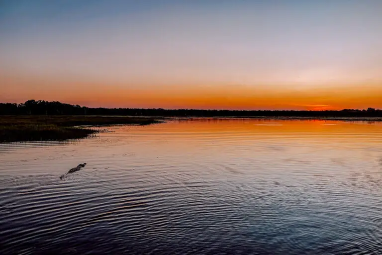 A serene sunset over a still water body in Kakadu National Park, with the sky painted in hues of orange and pink, and the silhouette of a crocodile swimming in the foreground.