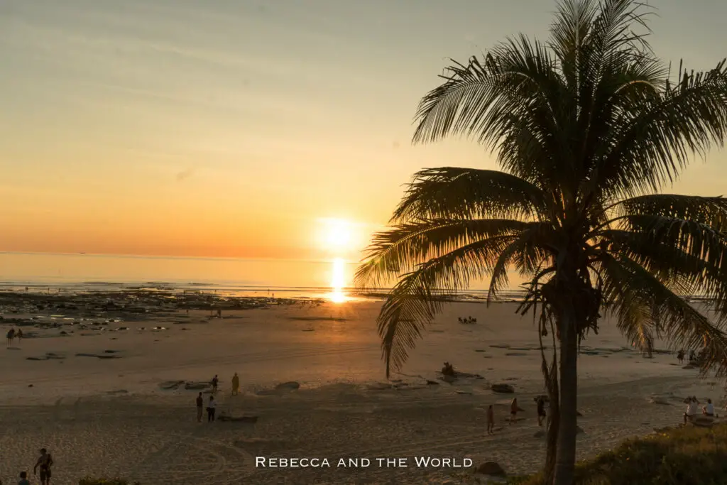 Sunset view over a tranquil beach, with a silhouetted palm tree in the foreground and people scattered across the sand. This is the famous Cable Beach in Broome, Western Australia, a bucket list destination for many.