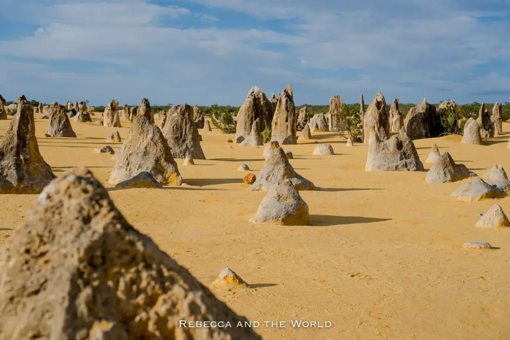Landscape of the Pinnacles Desert with numerous limestone formations rising from yellow sand under a clear blue sky.