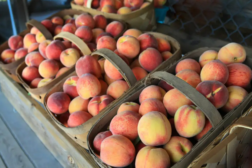 Bushels of ripe peaches in wooden baskets on display at a Fredericksburg, Texas, market, highlighting the region's famed peach harvest.