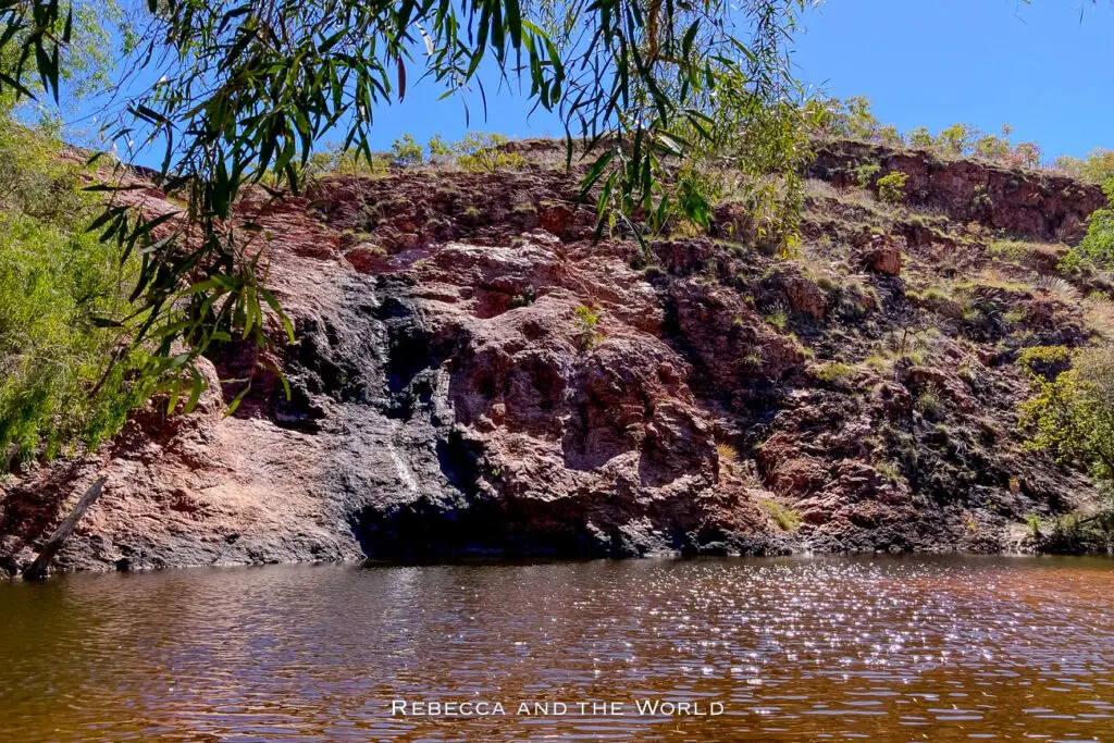 A view of red rock cliffs by a calm body of water, with the sunlight illuminating the rugged terrain. Green foliage hangs from the top, framing the rocky landscape below a clear blue sky. This is Molly Springs, just outside of Kununurra.
