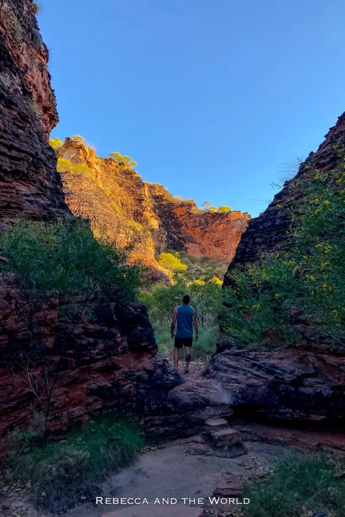 A person - the author's husband - hiking through a narrow gorge with red and black layered rock walls. Green shrubs and trees grow along the path, and the sun illuminates the upper part of the cliffs. This is Mirima National Park in Kununurra WA.